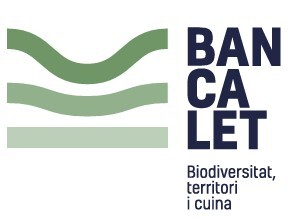 bancalet costa blanca dmc